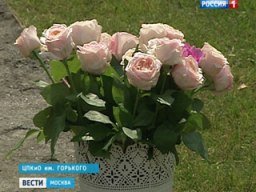 В парке Горького открылся исторический розарий" title="В парке Горького открылся исторический розарий